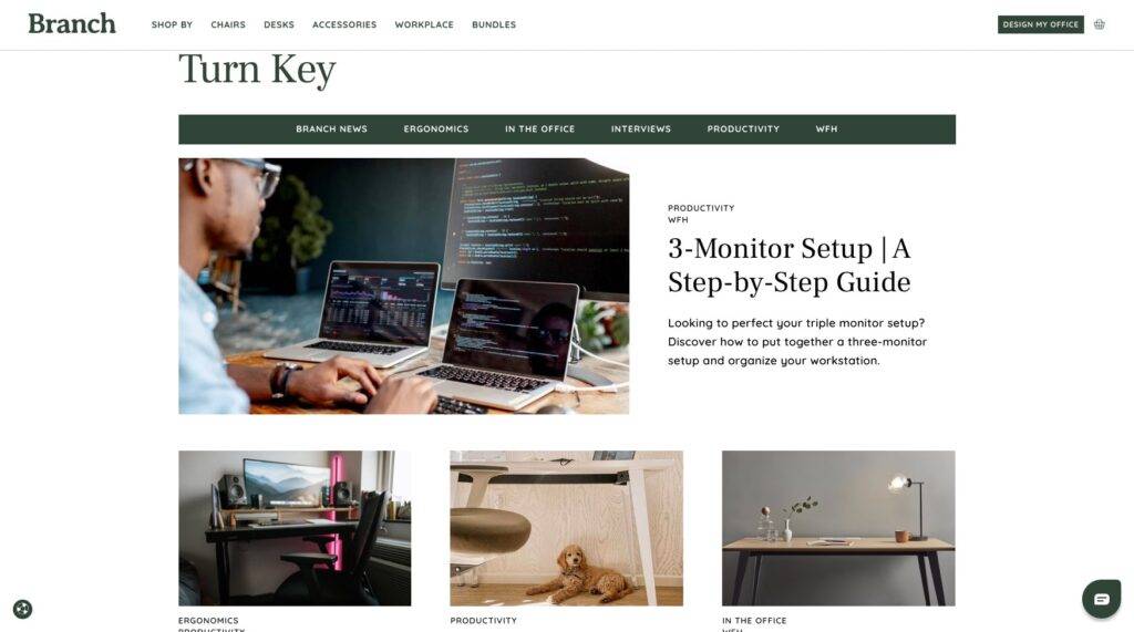 branch turn key blog shopify blog examples