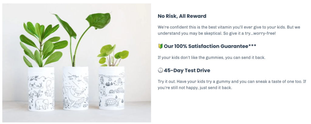 first day guarantee ecommerce landing page examples