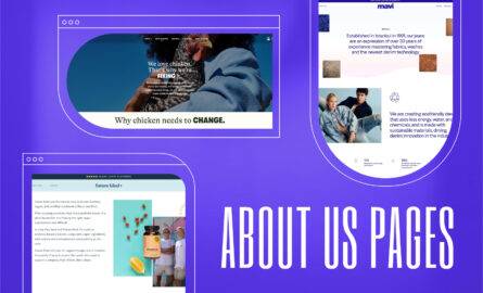 About Us Page Examples 1 ecommerce homepage examples