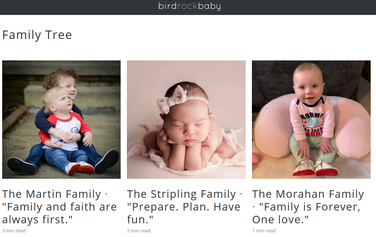 birdrock baby homepge featuring images of babies