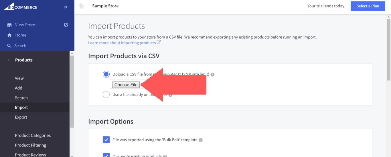 Select “Choose File” and upload your CSV file