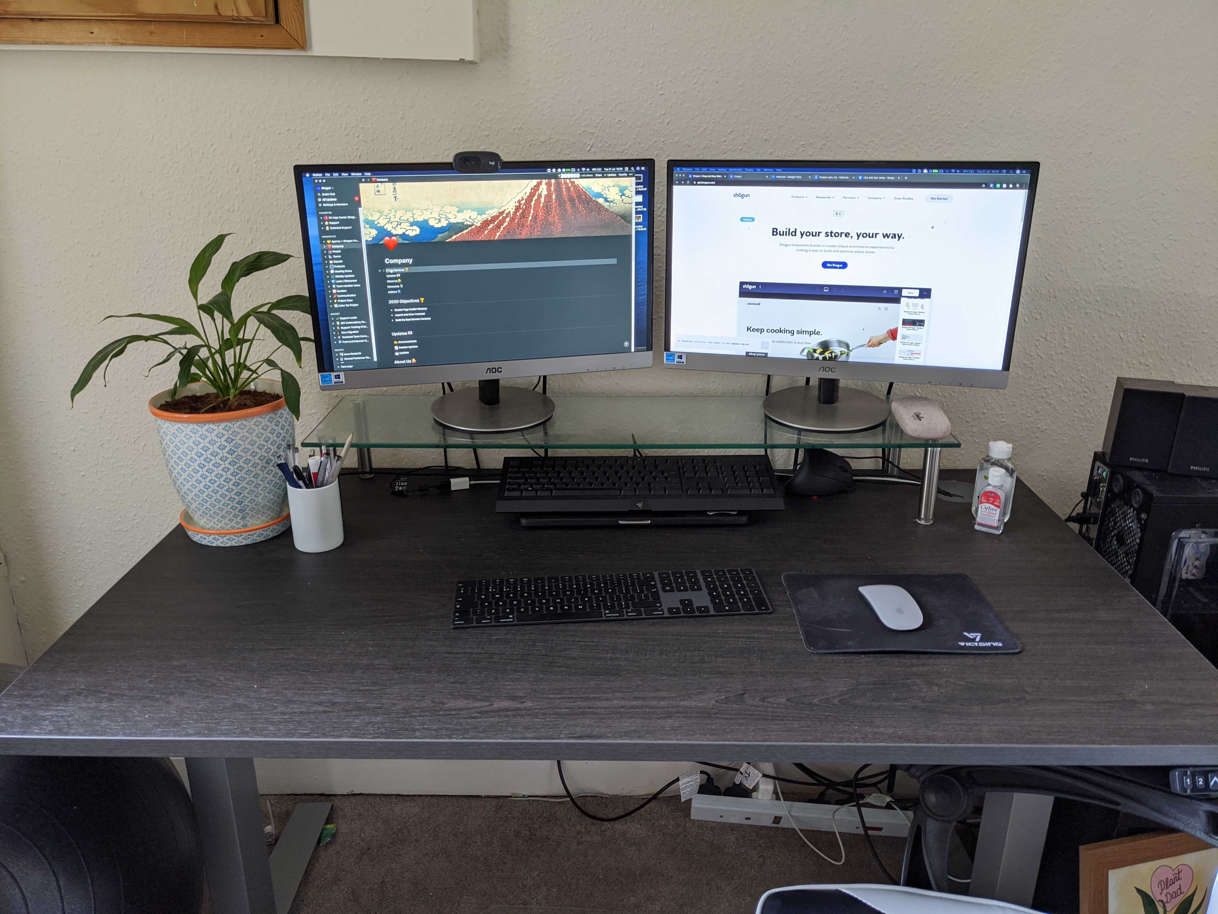 work from office setup with a desk, two monitors and a plany