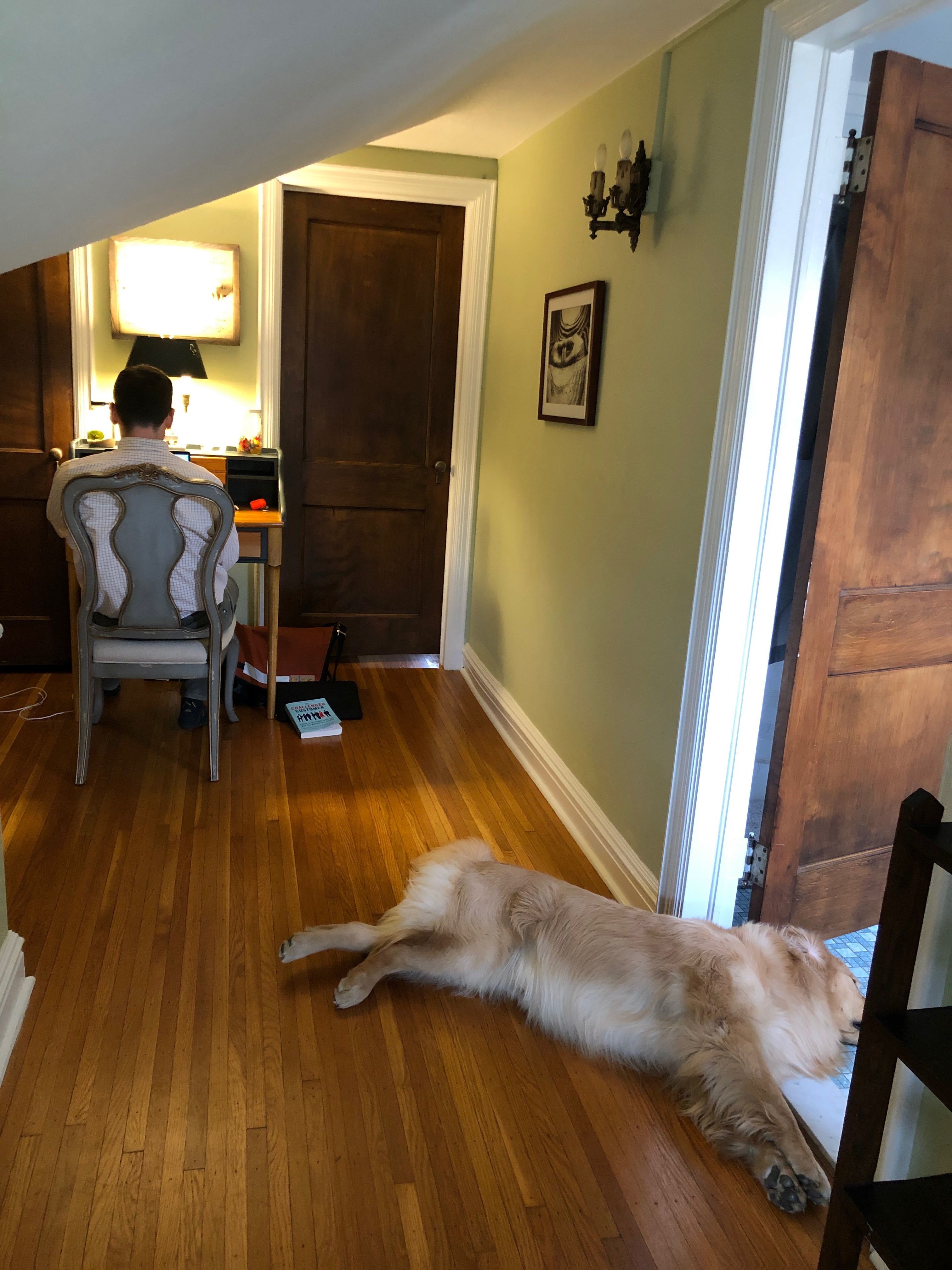 home office in a hallway with a dog on the floor 