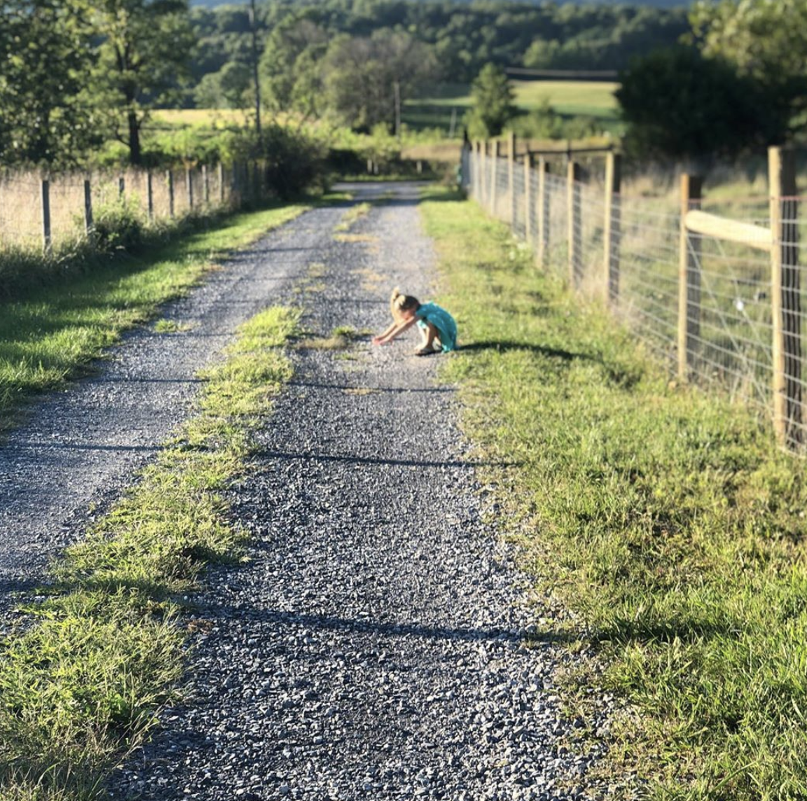 little girl playing in the field at sycamore hollow farm in Virginia
