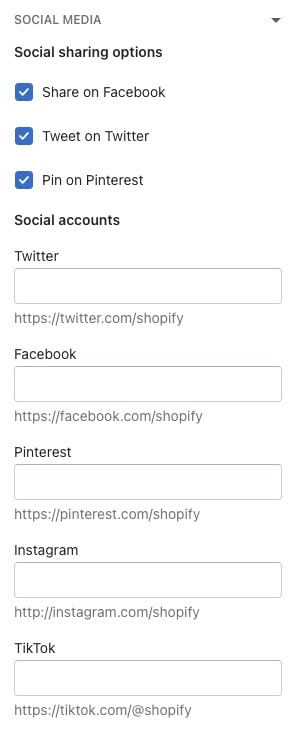 shopify theme customization social media theme settings