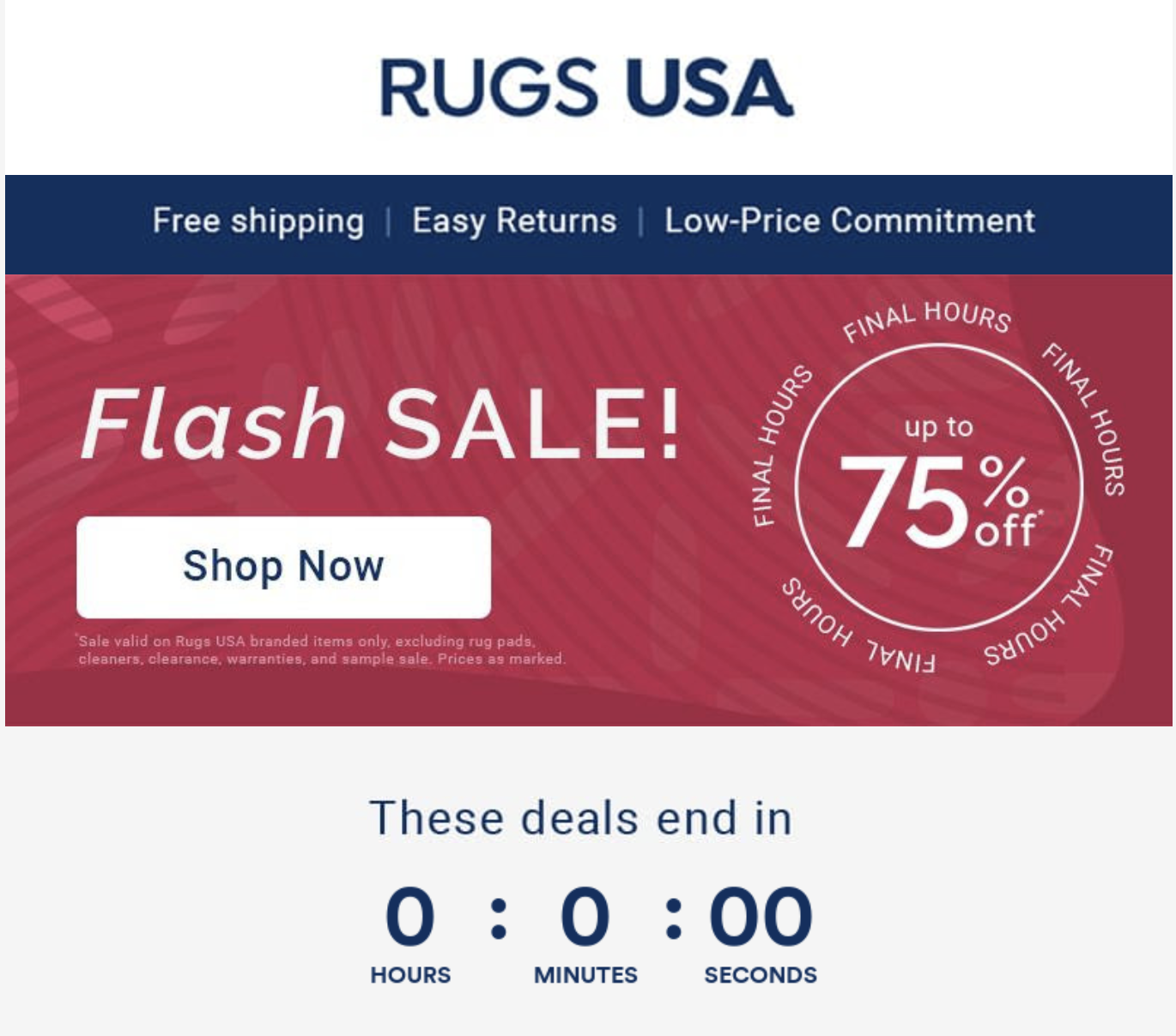 A flash sale email from Rugs USA