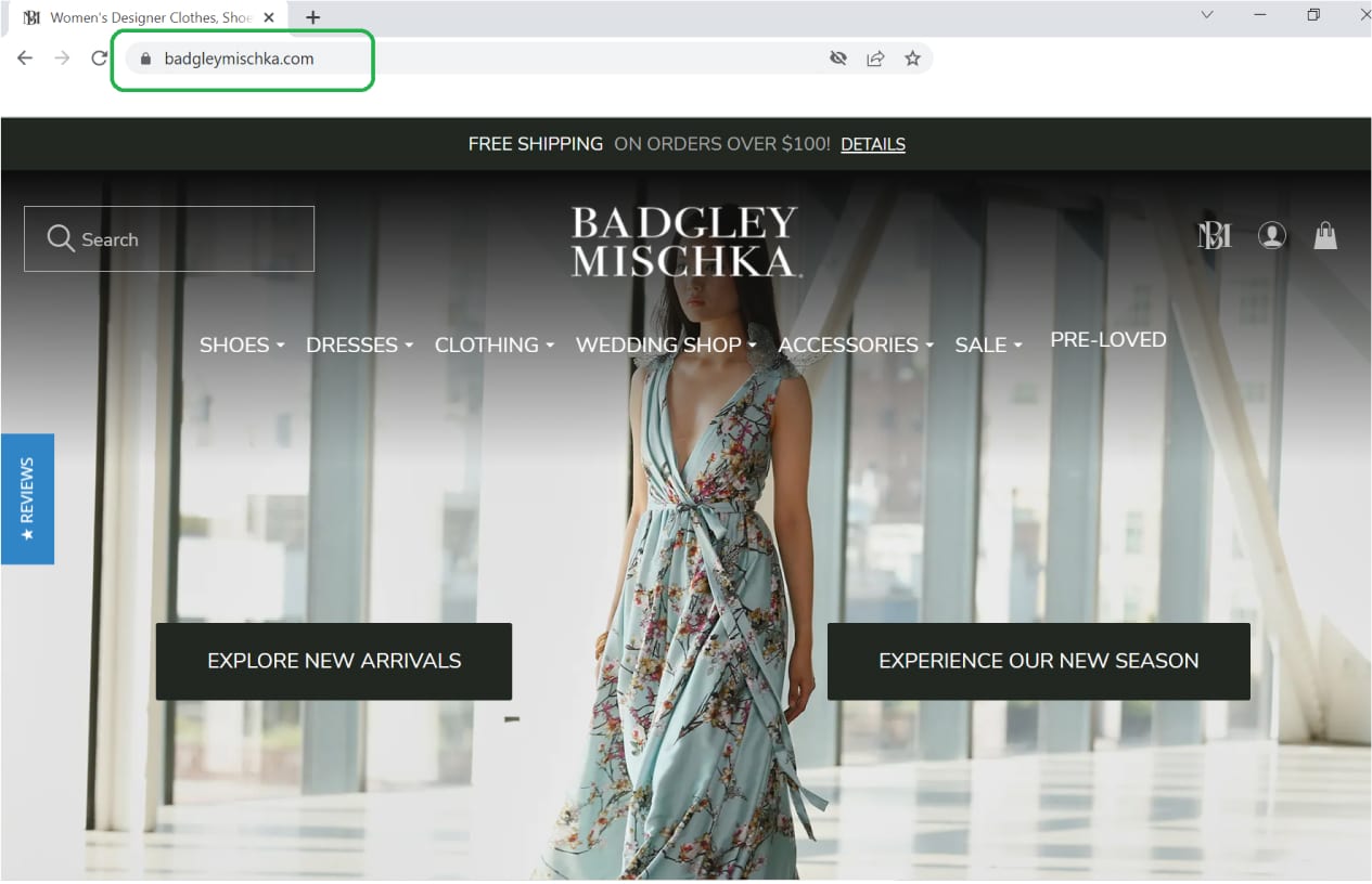 badgley mischka store url domain