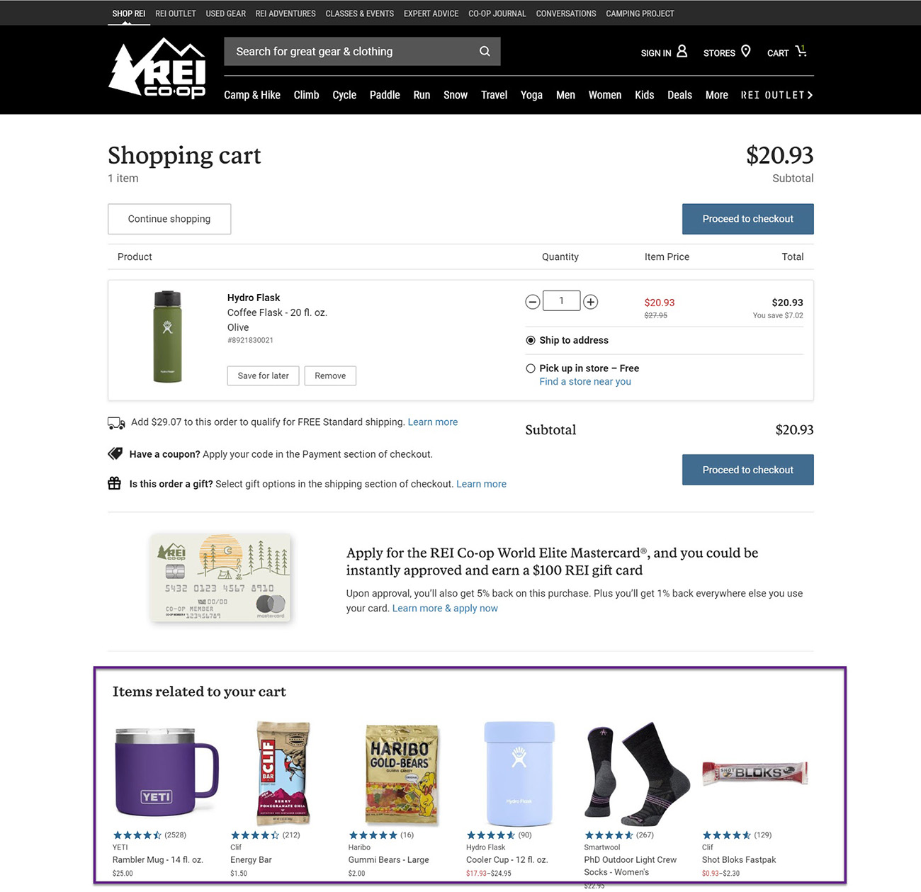 Example of a checkout page on REI's website