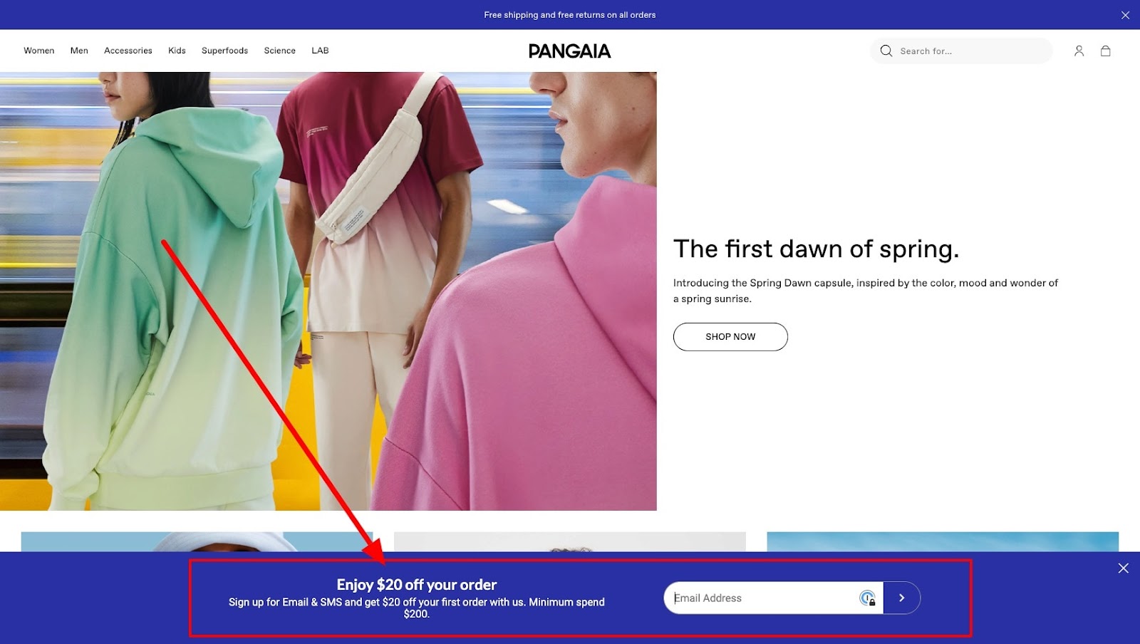 pangaia newsletter signup discount