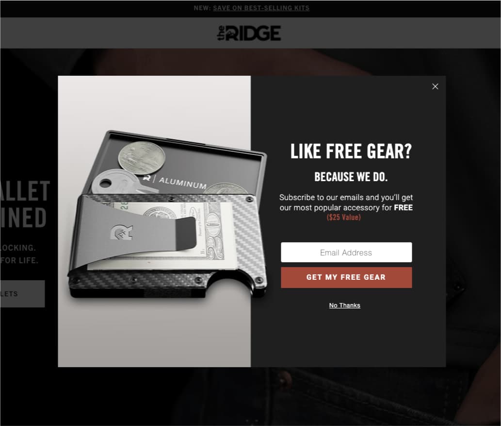 the ridge free product for signing up newsletter