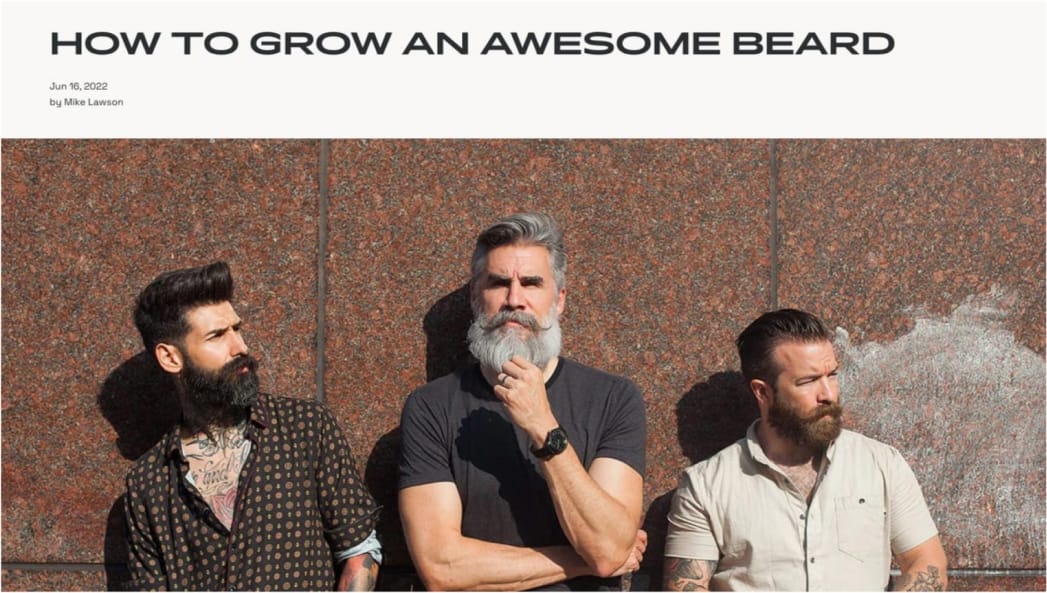 beardbrand how to grow an awesome beard blog post content marketing