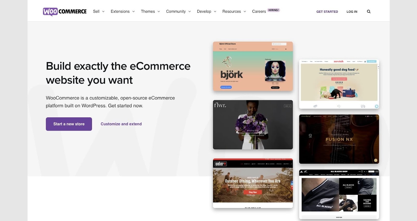 woocommerce ecommerce online selling platform homepage