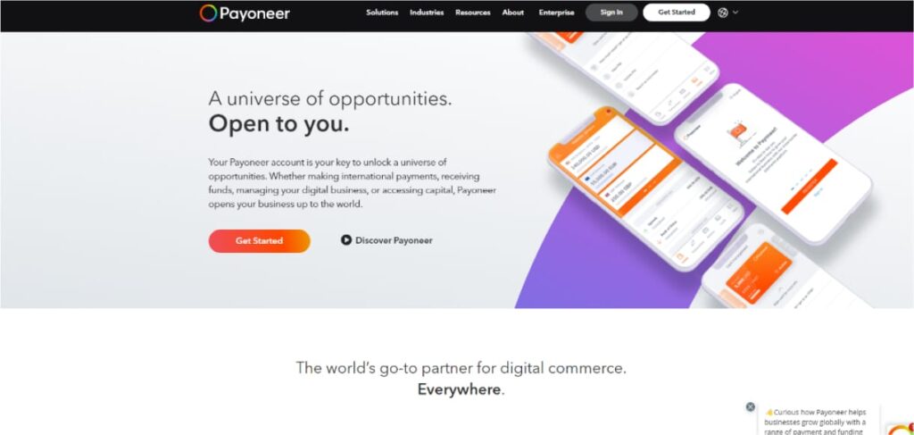 payoneer ecommerce tools