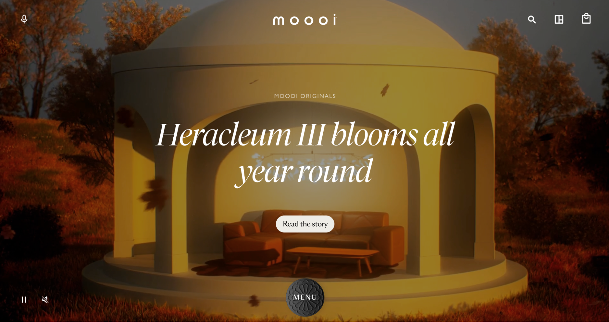 Moooi ecommerce direct-to-consumer brands