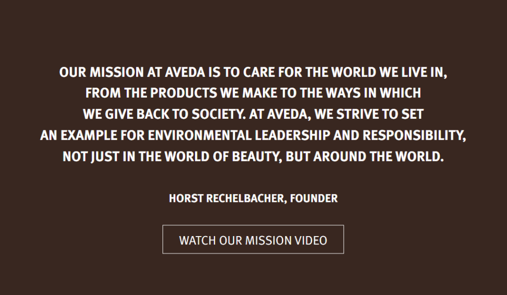 aveda Mission Statement Examples mission statement examples
