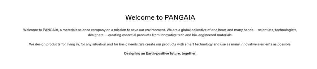 pangaia Mission Statement Examples mission statement examples