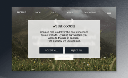 Cookies in Ecommerce What You Need to Know for 2023 ecommerce landing page examples