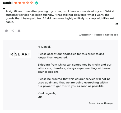 rise art response how to ask for reviews