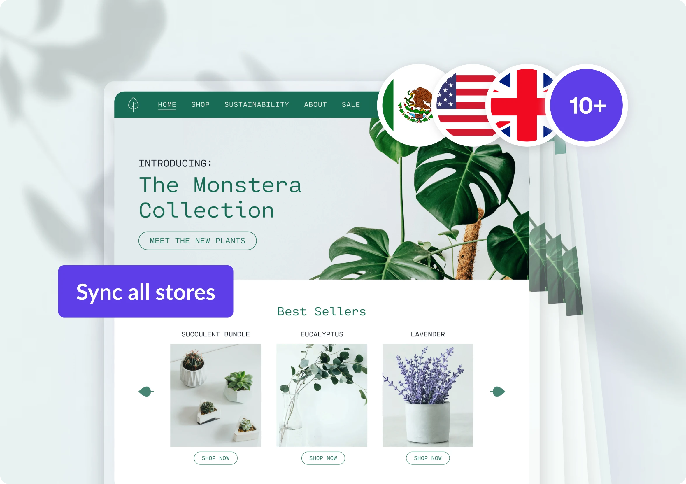 Image depicting a plant ecommerce brand that has multiple stores for multiple countries