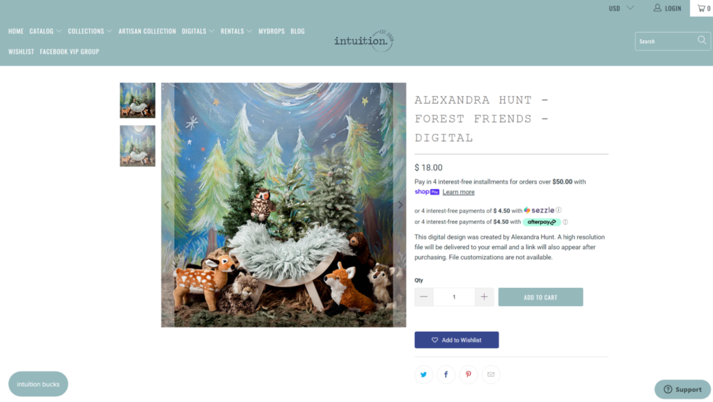 intuition homepage how to sell digital products on shopify