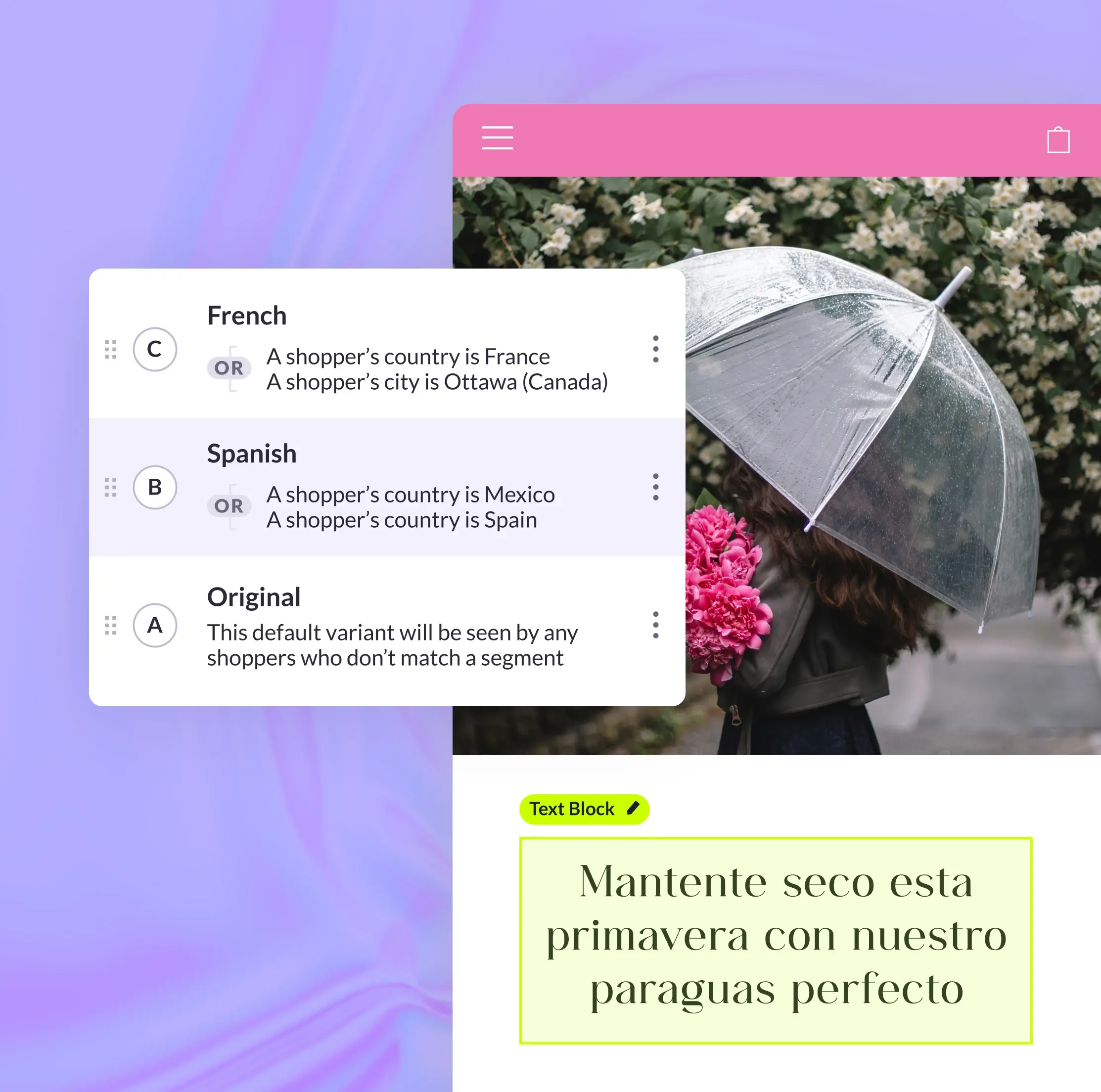 Mock mobile ecommerce website showing Spanish translation to shoppers included in 'Spanish' segment